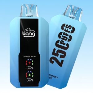 Bang 25000 Puffs - Puff Bang King Bang 25000 Puffs - Puff Bang King