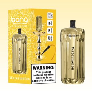 Bang Blaze 42000 Puffs - Puff Bang King Bang Blaze 42000 Puffs - Puff Bang King