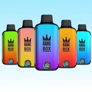 Bang Box 18000 Puffs - Puff Bang King Bang Box 18000 Puffs - Puff Bang King