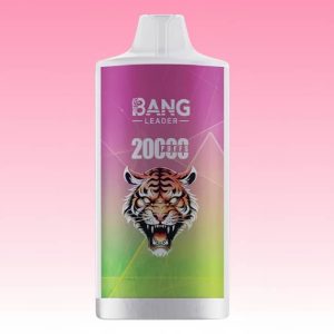 Puff Bang Leader 20000 Taff - Puff Bang King Puff Bang Leader 20000 Taff - Puff Bang King