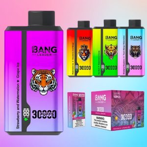 Bang Leader 30000 Puffs - Puff Bang King Bang Leader 30000 Puffs - Puff Bang King