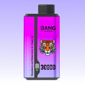 Bang Leader 30000 Puffs - Puff Bang King Bang Leader 30000 Puffs - Puff Bang King