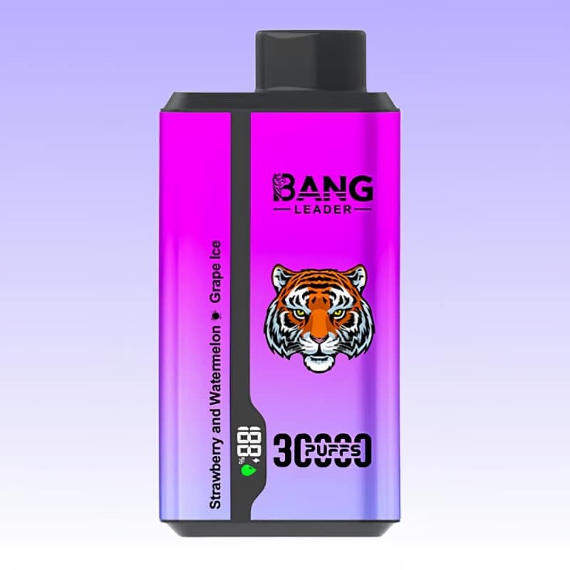 Bang Leader 30000 Puffs - Puff Bang King Bang Leader 30000 Puffs - Puff Bang King