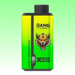 Bang Leader 30000 Puffs - Puff Bang King Bang Leader 30000 Puffs - Puff Bang King