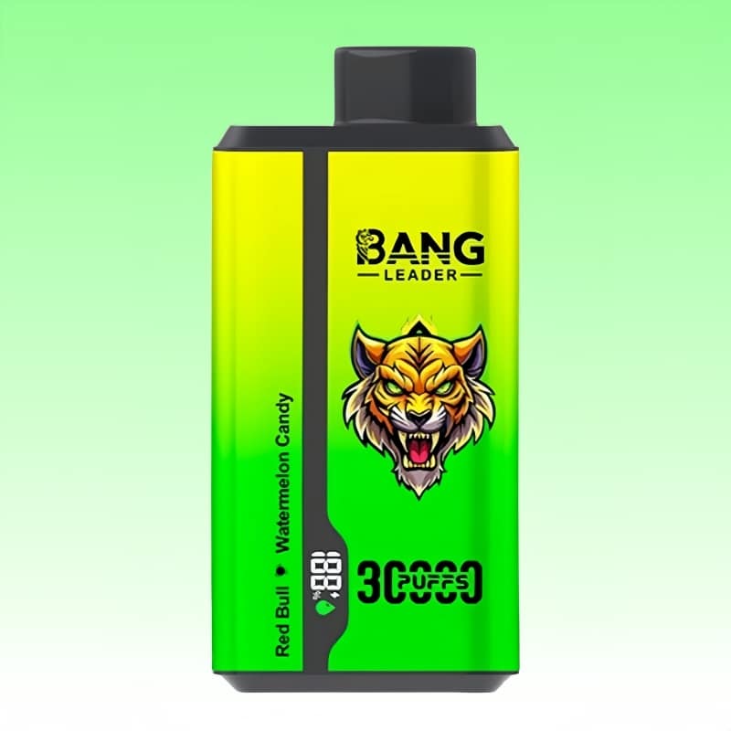 Bang Leader 30000 Puffs - Puff Bang King Bang Leader 30000 Puffs - Puff Bang King