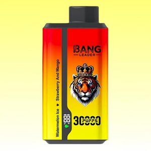 Bang Leader 30000 Puffs - Puff Bang King Bang Leader 30000 Puffs - Puff Bang King