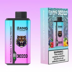 Bang Leader 30000 Puffs - Puff Bang King Bang Leader 30000 Puffs - Puff Bang King