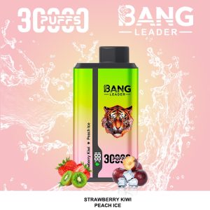 Bang Leader 30000 Puffs - Puff Bang King Bang Leader 30000 Puffs - Puff Bang King