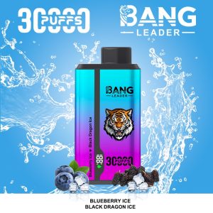 Bang Leader 30000 Puffs - Puff Bang King Bang Leader 30000 Puffs - Puff Bang King