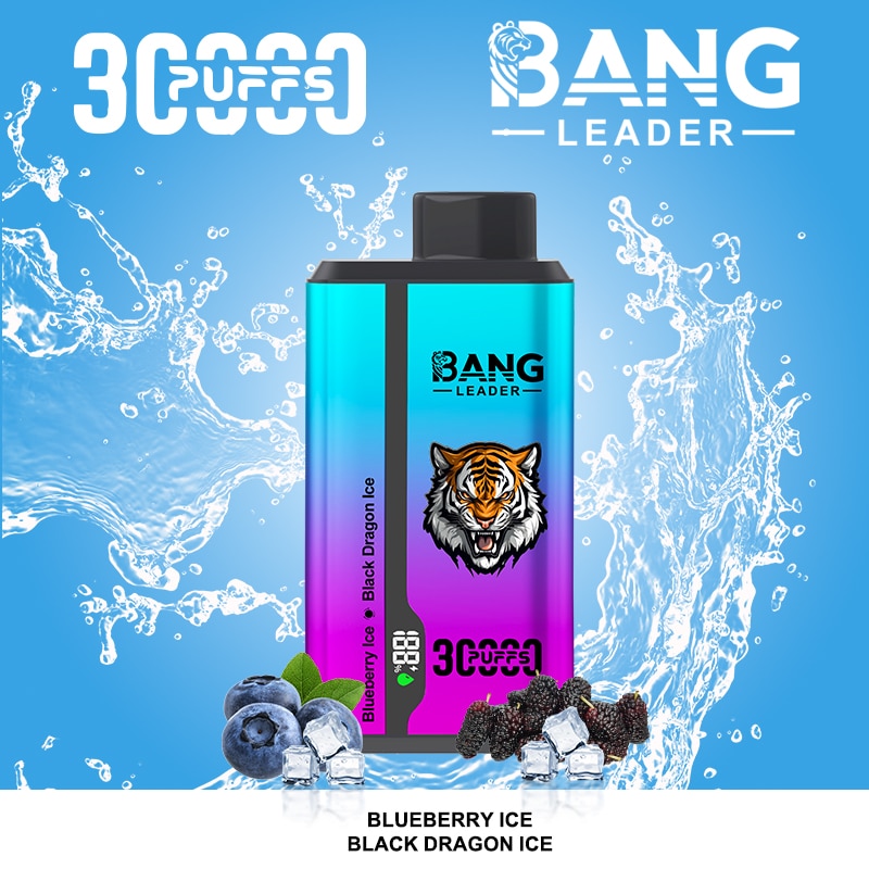 Bang Leader 30000 Puffs - Puff Bang King Bang Leader 30000 Puffs - Puff Bang King