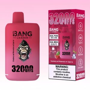 Bang Leader 32K Puffs - Puff Bang King Bang Leader 32K Puffs - Puff Bang King