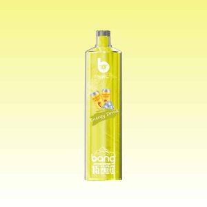Bang XXL 15000 Puffs - Puff Bang King Bang XXL 15000 Puffs - Puff Bang King