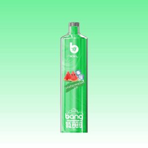 Bang XXL 15000 Puffs - Puff Bang King Bang XXL 15000 Puffs - Puff Bang King