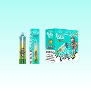 Bang Blaze 20K Puffs - Puff Bang King Bang Blaze 20K Puffs - Puff Bang King