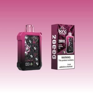 Bang Gear 20000 Puffs - Puff Bang King Bang Gear 20000 Puffs - Puff Bang King