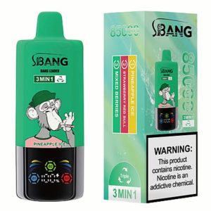 Bang Leader 85000 Puffs - Puff Bang King Bang Leader 85000 Puffs - Puff Bang King